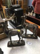 Pair of cast Stags