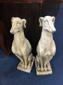 Pair of standing dogs