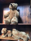 Group of three Steiff bears