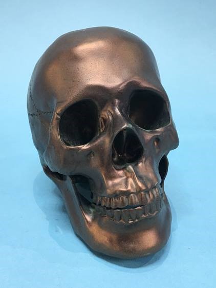 Model of a skull - Image 2 of 2