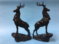 A pair of stags