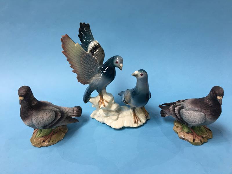 Two Kowa pigeons and a Continental group of pigeons - Image 2 of 2