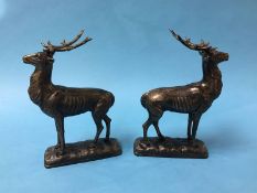 Pair of stags