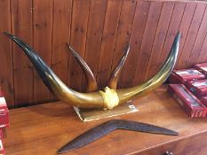 Set of mounted horns and a boomerang