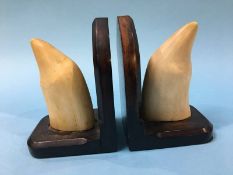 A pair of whale teeth bookends
