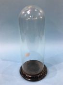 A 19th century tall and slender glass dome, 36cm height