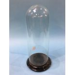 A 19th century tall and slender glass dome, 36cm height