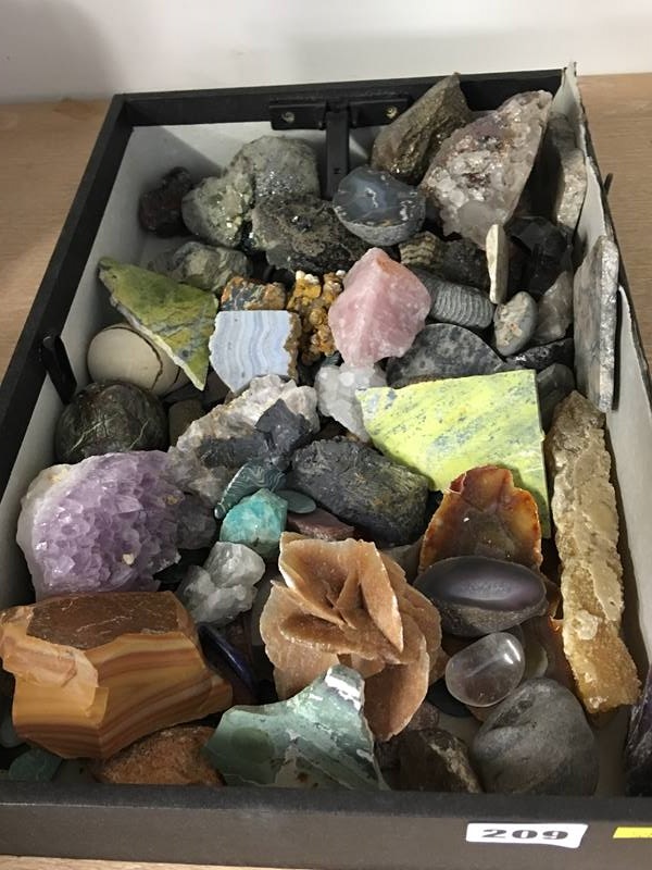 Collection of various fossils etc.