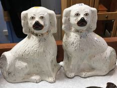 Pair of pot dogs