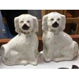 Pair of pot dogs