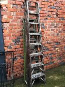 Two sets of ladders