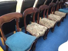 A set of six mahogany William IV dining chairs