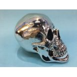 A resin skull, 28cm x 17cm