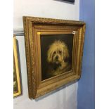 19th century, oil on board, unsigned, 'Portrait of a dog', 31 x 30cm
