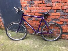 Raleigh bike