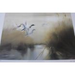 A collection of five Limited Edition, signed and numbered Wildfowl prints