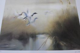 A collection of five Limited Edition, signed and numbered Wildfowl prints