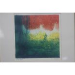 Pair of prints, after Denise Duplock