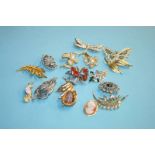 Collection of costume jewellery