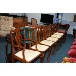 Set of six (5+1) mahogany ball and claw dining chairs