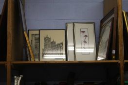 A shelf of pictures/ prints