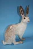 A Winstanley Hare