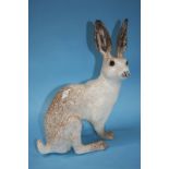 A Winstanley Hare