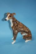 A Winstanley Greyhound