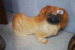 Model Pekinese