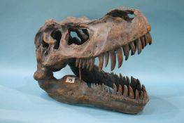 A large T Rex head, 50cm long, 35cm high