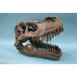 A large T Rex head, 50cm long, 35cm high