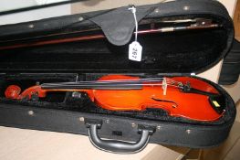 A violin in a case