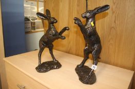 Pair of boxing hares