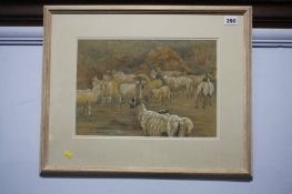 J. McLean, pastel, signed, 'Sheep in a yard'