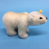 A Steiff Polar bear