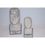 2 Phrenology heads