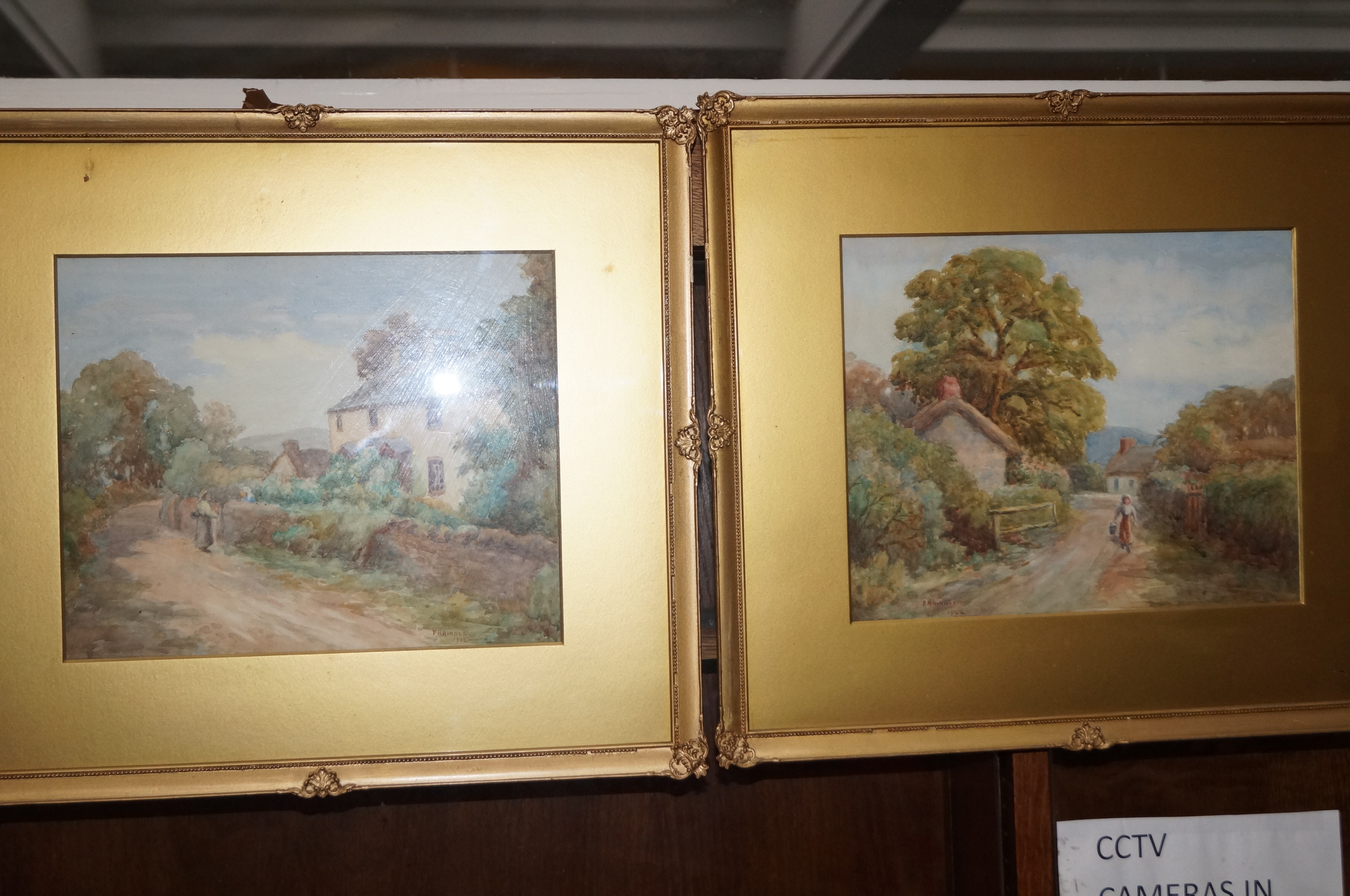 Pair of framed watercolours signed F.Brindle dated