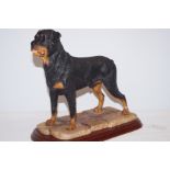 Resin model of rottweiler by Margret Turner Width