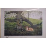 Limited edition framed print fallow deer at dynham