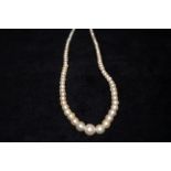 Pearl necklace set with a silver clasp