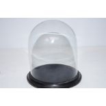 Glass dome on a plinth Height 19 cm