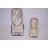 2 Phrenology head largest Height 15 cm