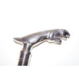 Jaguar handle walking stick