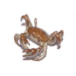 Bronze crab