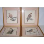 Set of 4 watercolour bird studies by D. Alker (Lee