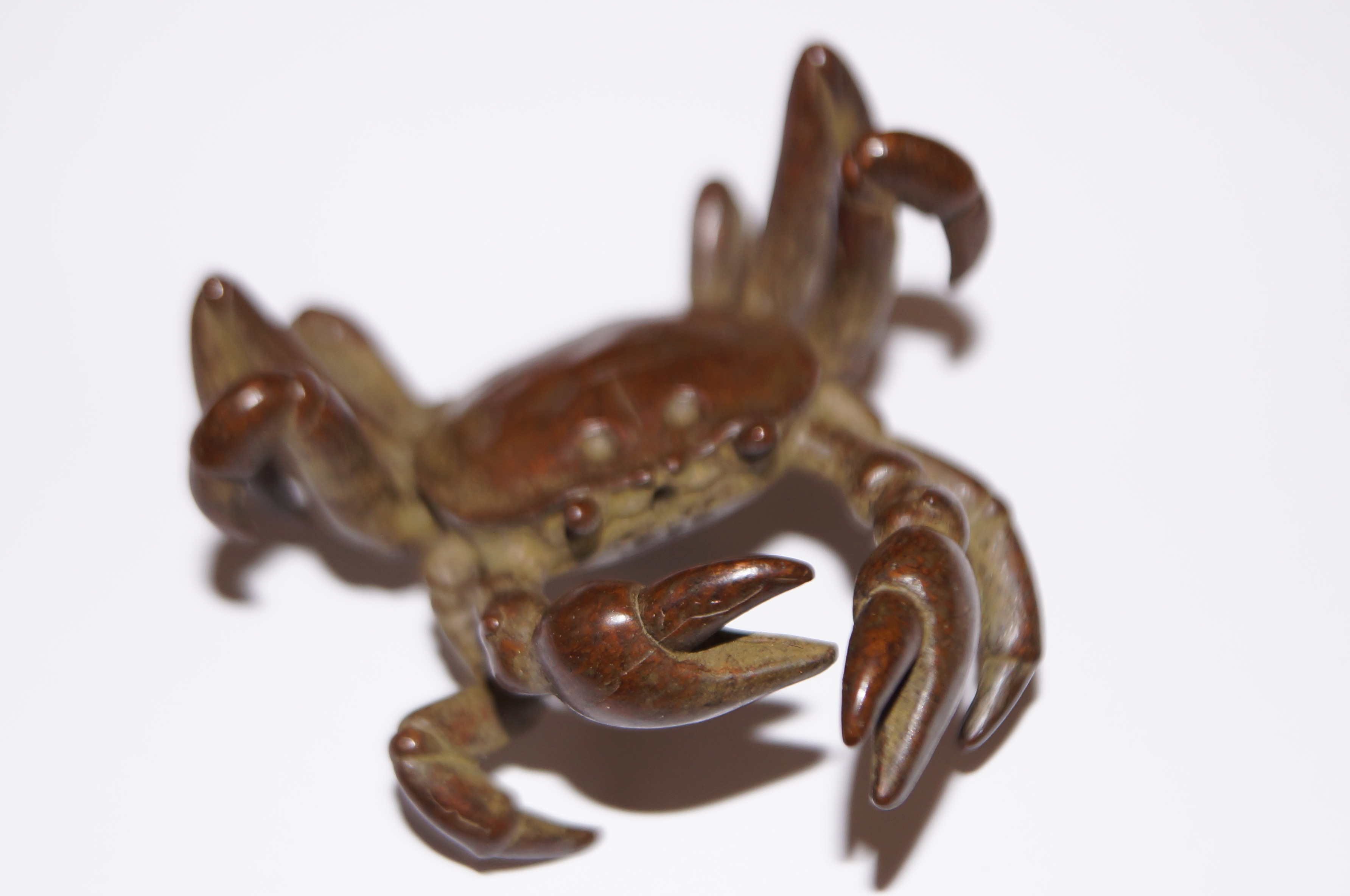 Bronze crab