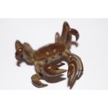 Bronze crab