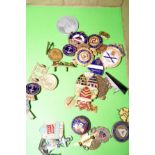 Collection of 28 badges (Various)