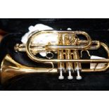 Cased brass cornet