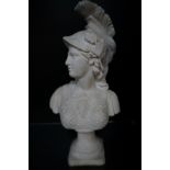 A plaster bust of Minerva Height 40 cm